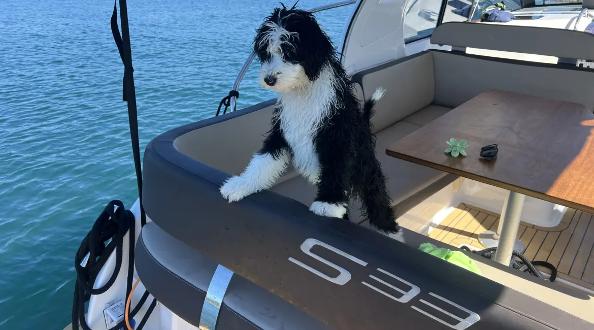Motoryacht mieten Biograd Kroatien