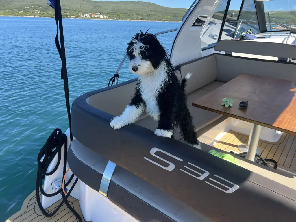 Najam motornih jahti Biograd na moru