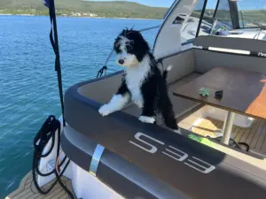 Najam motornih jahti Biograd na moru