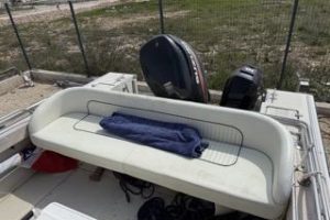 Boston Whaler 25 Outrage with Suzuki 250 HP engine
