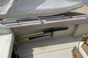 Boston Whaler 25 Outrage with Suzuki 250 HP engine