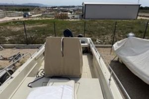 Boston Whaler 25 Outrage with Suzuki 250 HP engine