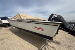 Boston Whaler 25 Outrage with Suzuki 250 HP engine