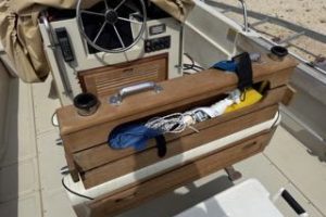 Boston Whaler 25 Outrage with Suzuki 250 HP engine